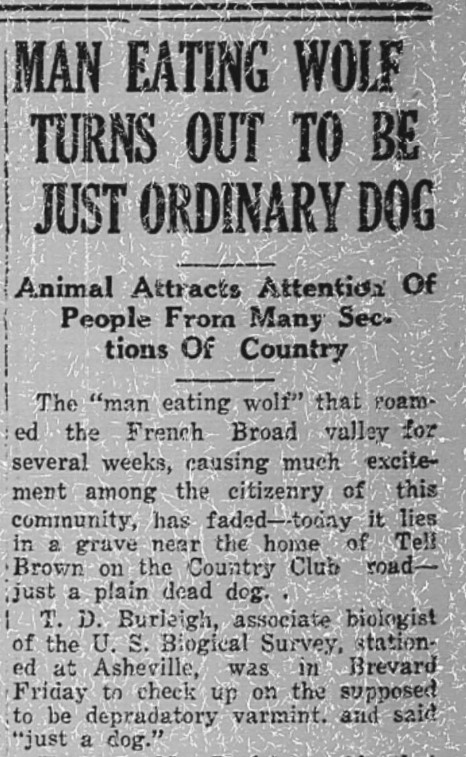 Newspaper Headline: Man eating wolf turns out to be just ordinary dog