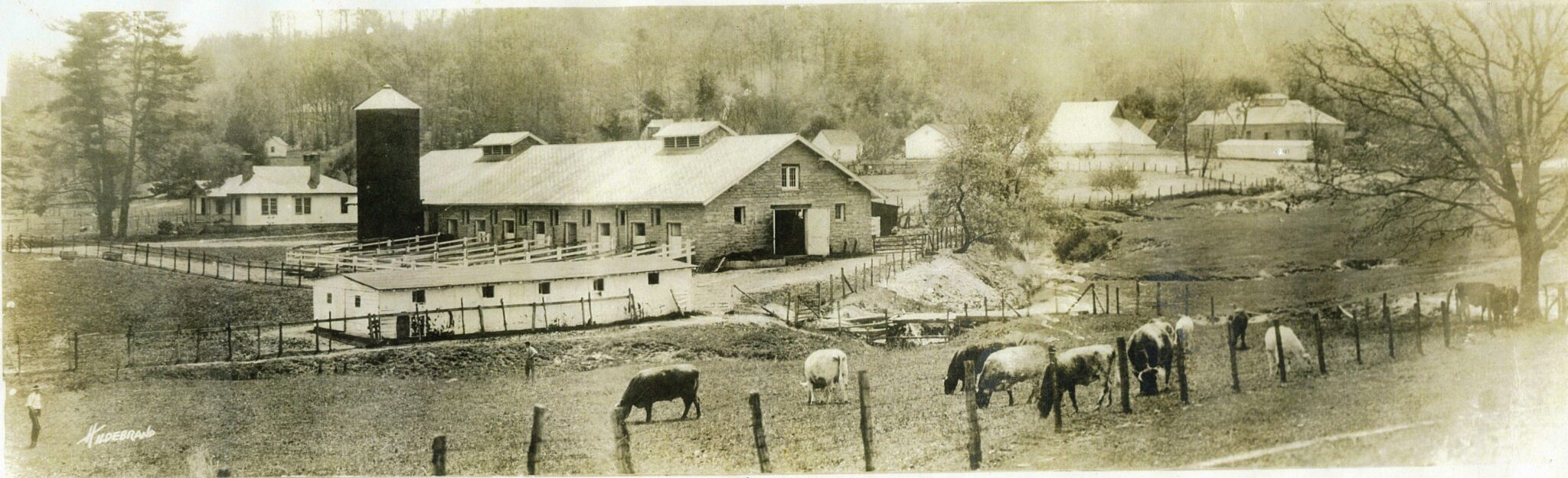 Everett Farm Transylvania County Library
