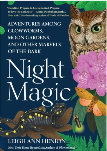 Night Magic